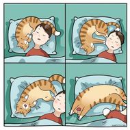 Cat Memes